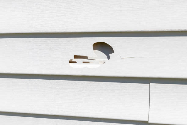 Affordable Siding Repair and Maintenance Services in Kittanning, PA