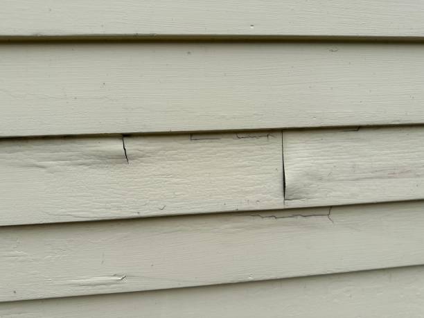 Best Engineered Wood Siding  in Kittanning, PA